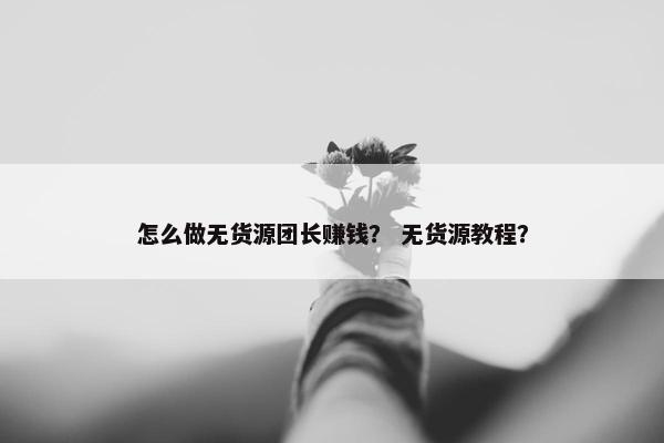 怎么做无货源团长赚钱？ 无货源教程？
