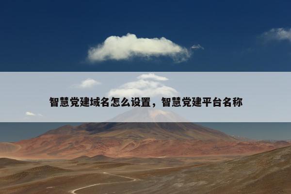 智慧党建域名怎么设置，智慧党建平台名称