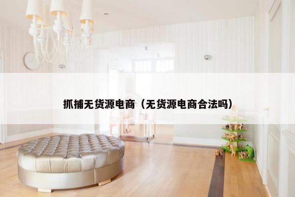 抓捕无货源电商（无货源电商合法吗）