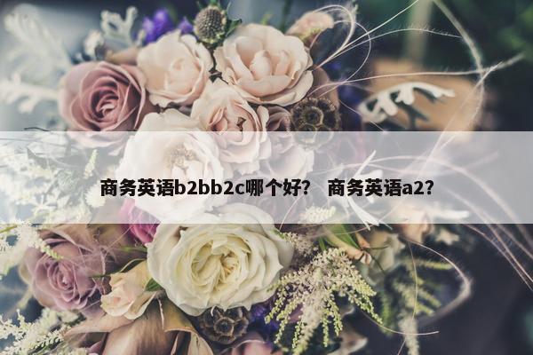 商务英语b2bb2c哪个好？ 商务英语a2？