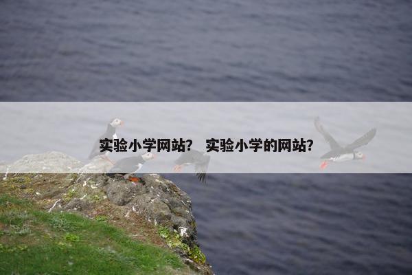 实验小学网站？ 实验小学的网站？