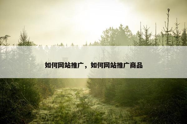 如何网站推广，如何网站推广商品