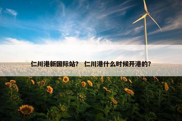 仁川港新国际站？ 仁川港什么时候开港的？