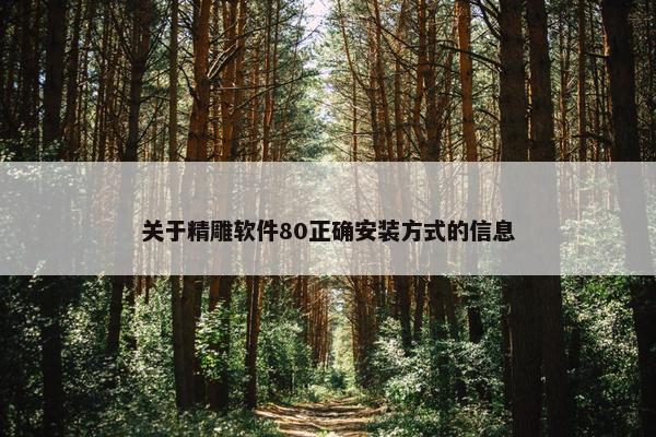 关于精雕软件80正确安装方式的信息