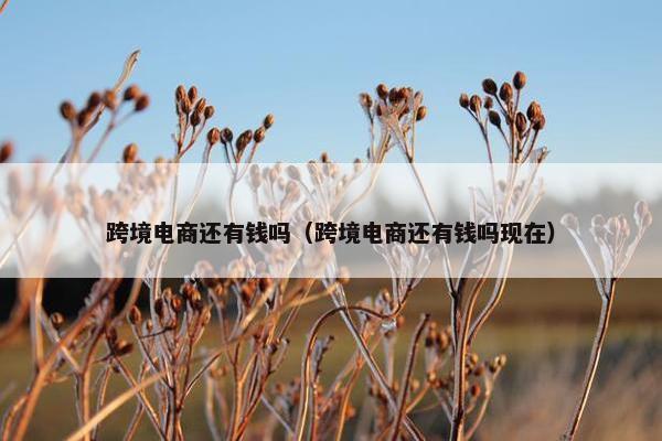 跨境电商还有钱吗（跨境电商还有钱吗现在）