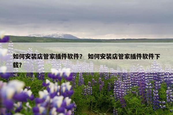 如何安装店管家插件软件？ 如何安装店管家插件软件下载？