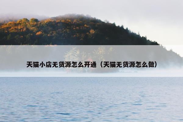 天猫小店无货源怎么开通（天猫无货源怎么做）