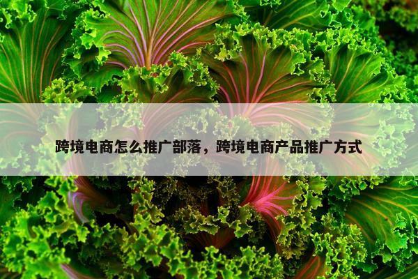 跨境电商怎么推广部落，跨境电商产品推广方式