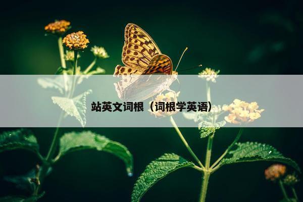 站英文词根（词根学英语）