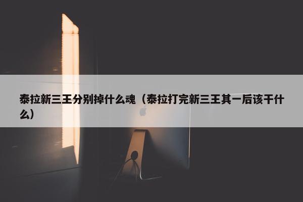 泰拉新三王分别掉什么魂（泰拉打完新三王其一后该干什么）