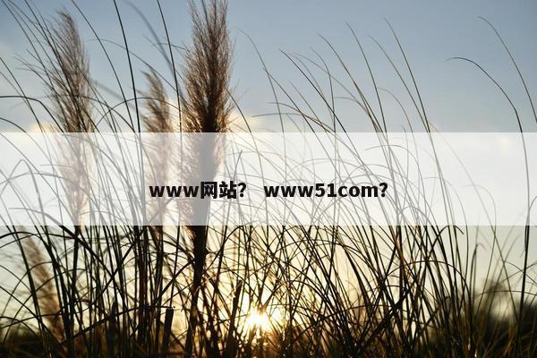 www网站？ www51com？
