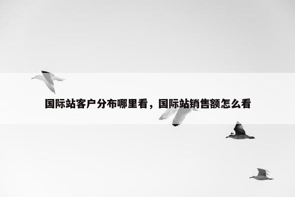 国际站客户分布哪里看，国际站销售额怎么看