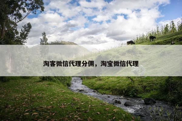 淘客微信代理分佣，淘宝微信代理