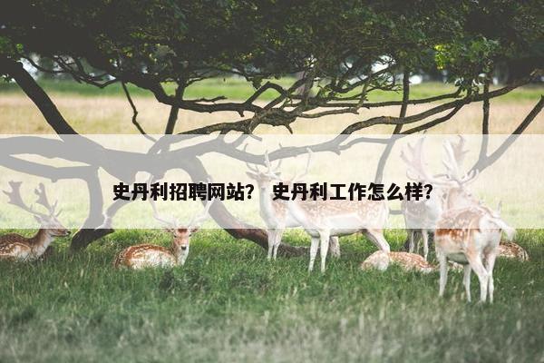 史丹利招聘网站？ 史丹利工作怎么样？