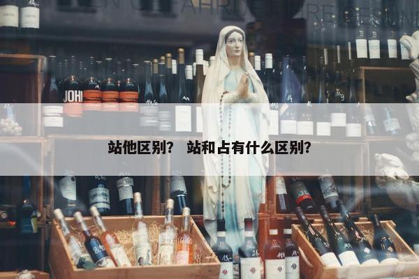 站他区别？ 站和占有什么区别？