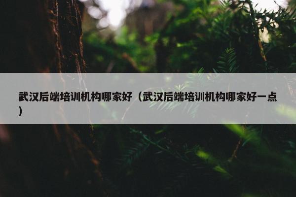 武汉后端培训机构哪家好（武汉后端培训机构哪家好一点）