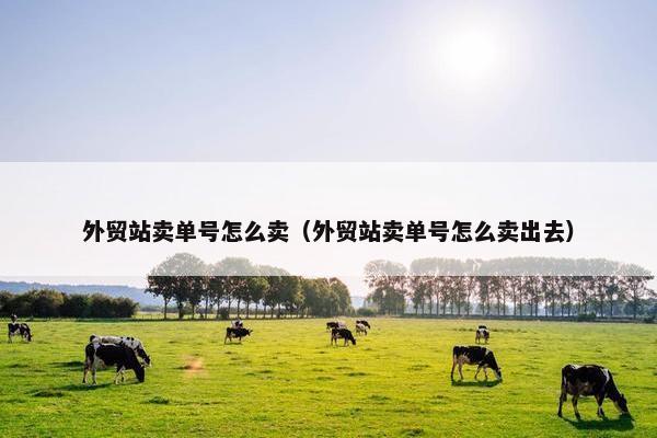 外贸站卖单号怎么卖（外贸站卖单号怎么卖出去）