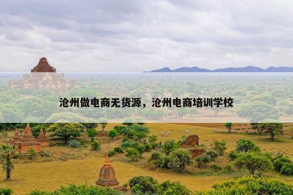沧州做电商无货源，沧州电商培训学校