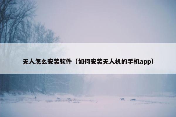 无人怎么安装软件（如何安装无人机的手机app）
