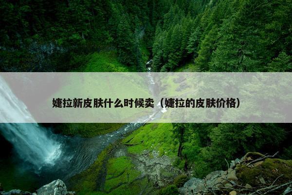 婕拉新皮肤什么时候卖（婕拉的皮肤价格）