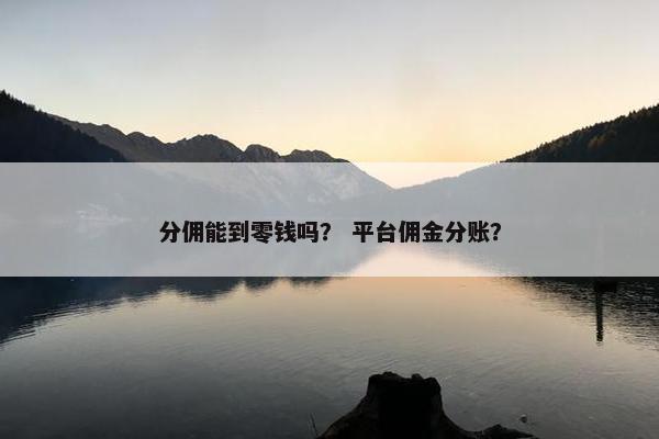 分佣能到零钱吗？ 平台佣金分账？