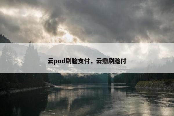 云pod刷脸支付，云瓣刷脸付