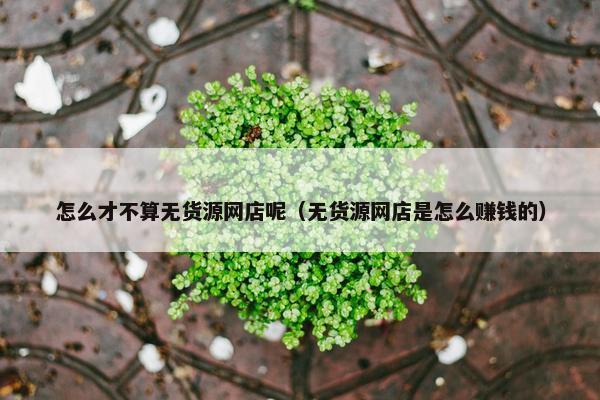 怎么才不算无货源网店呢（无货源网店是怎么赚钱的）