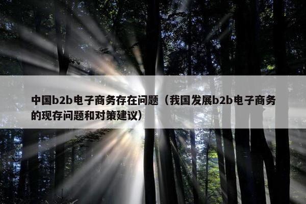 中国b2b电子商务存在问题（我国发展b2b电子商务的现存问题和对策建议）