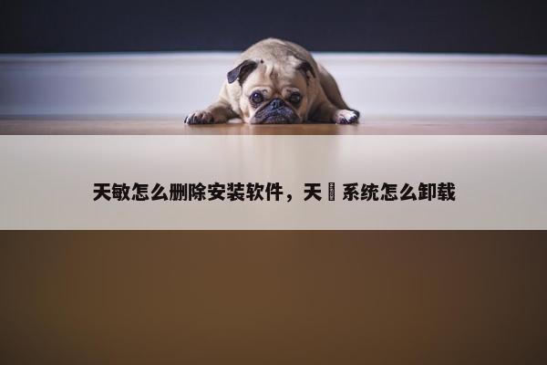 天敏怎么删除安装软件，天珣系统怎么卸载