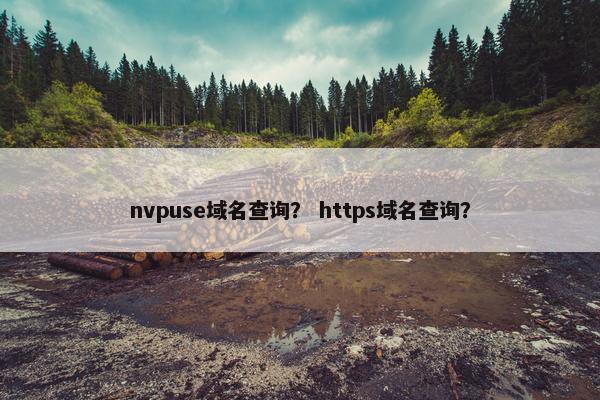 nvpuse域名查询？ https域名查询？