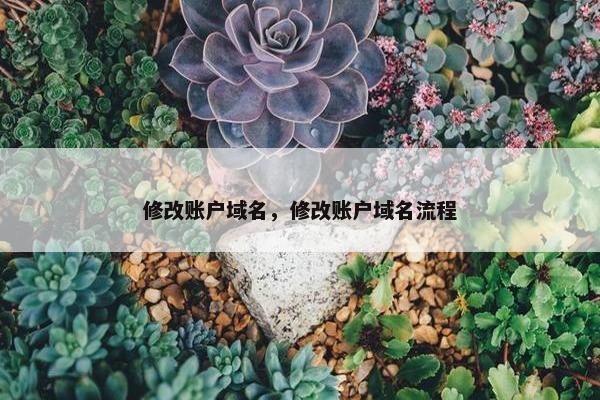 修改账户域名，修改账户域名流程