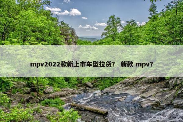 mpv2022款新上市车型拉货? 新款 mpv?