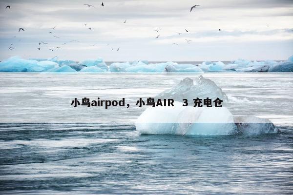 小鸟airpod，小鸟AIR  3 充电仓