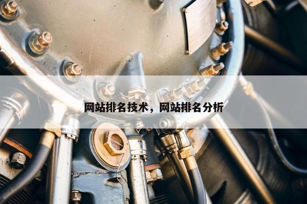 网站排名技术，网站排名分析