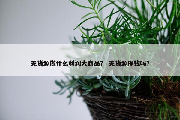无货源做什么利润大商品？ 无货源挣钱吗？
