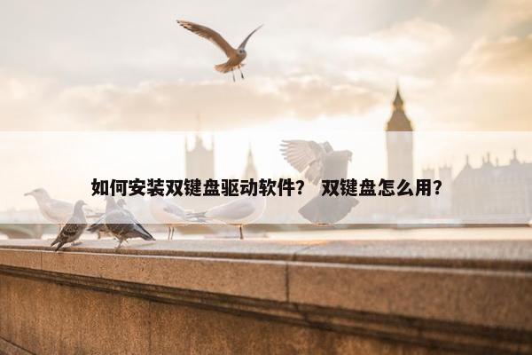 如何安装双键盘驱动软件？ 双键盘怎么用？