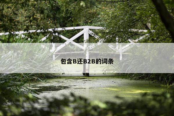 包含B还B2B的词条