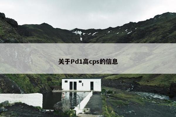 关于Pd1高cps的信息