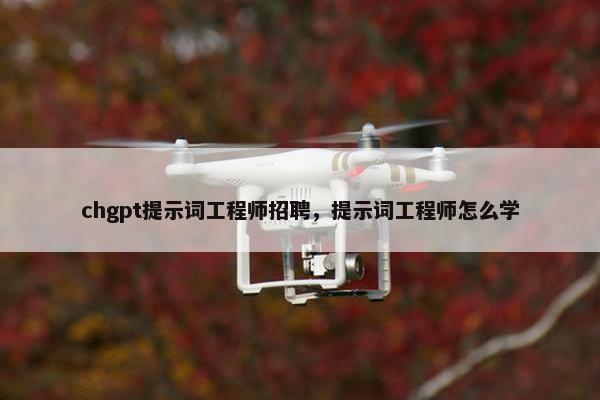 chgpt提示词工程师招聘，提示词工程师怎么学