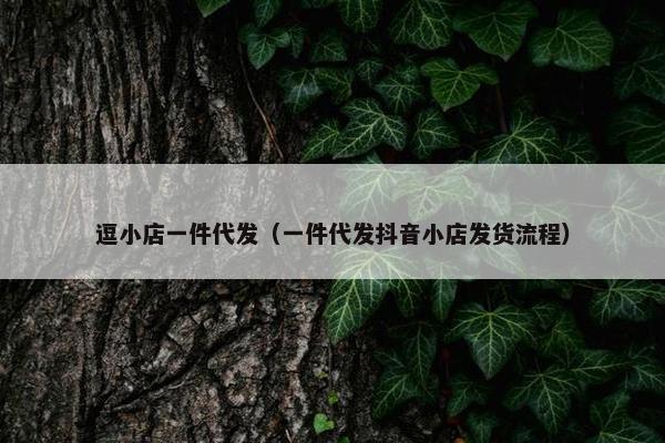 逗小店一件代发（一件代发抖音小店发货流程）
