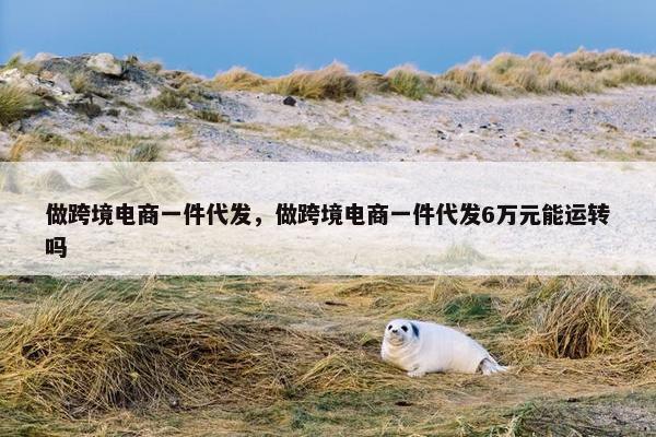 做跨境电商一件代发，做跨境电商一件代发6万元能运转吗