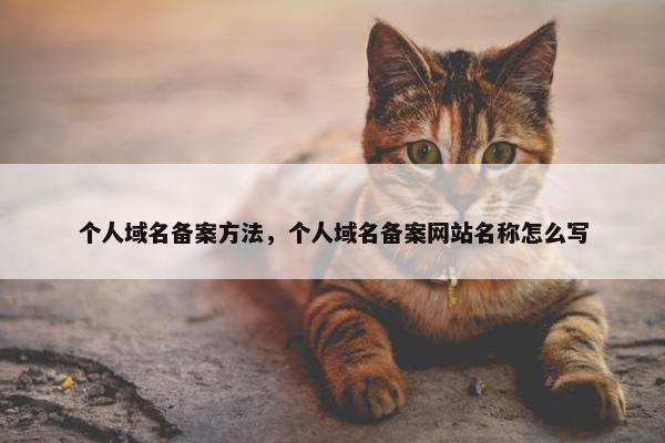 个人域名备案方法，个人域名备案网站名称怎么写