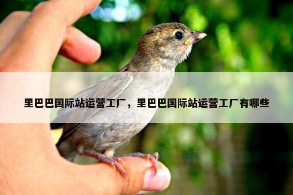 里巴巴国际站运营工厂，里巴巴国际站运营工厂有哪些