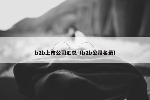 b2b上市公司汇总（b2b公司名录）