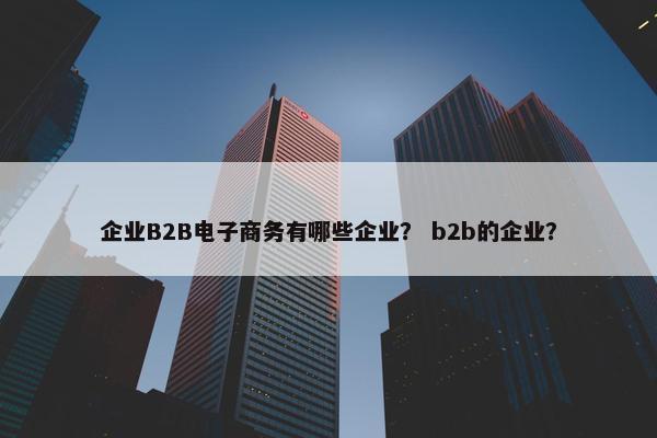 企业B2B电子商务有哪些企业？ b2b的企业？