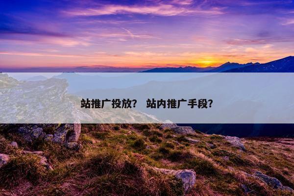 站推广投放？ 站内推广手段？