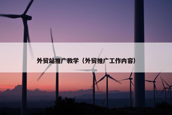 外贸站推广教学（外贸推广工作内容）