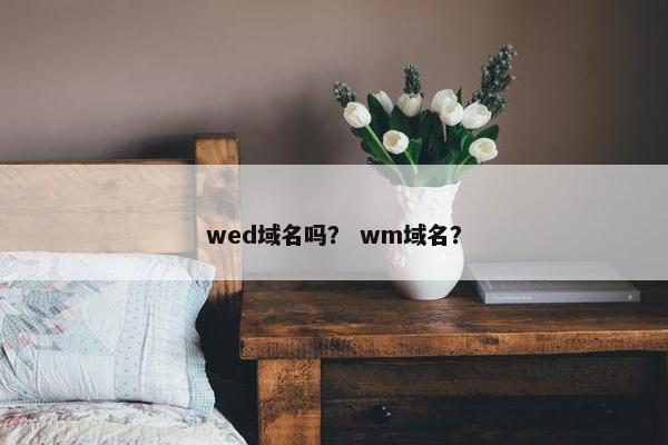 wed域名吗？ wm域名？