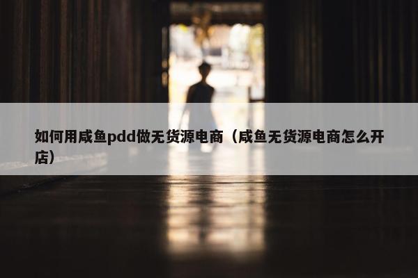 如何用咸鱼pdd做无货源电商(咸鱼无货源电商怎么开店)