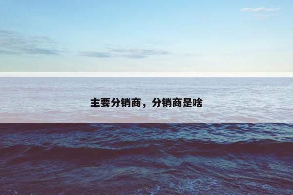 主要分销商,分销商是啥